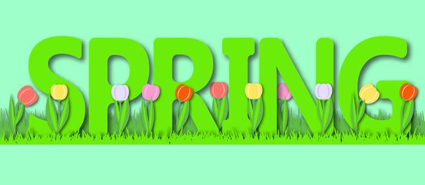 Spring background with grass and tulips. Paper art vector. 3d effect. - Wektor, obraz
