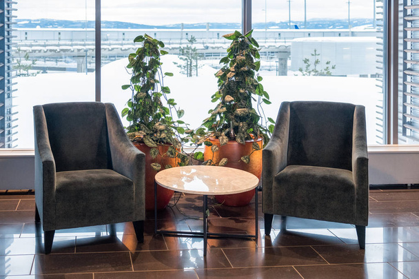 Два бархатных стула с мраморным столом и украшением растений плюща в л
 - Фото, изображение