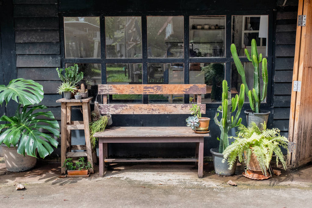 Banco de madera con decoración de plantas verdes
 - Foto, Imagen