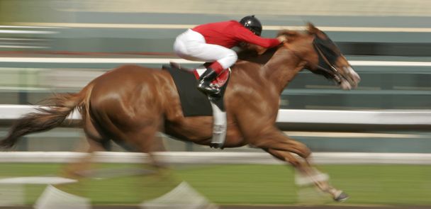 Corrida de cavalos Motion Blur
 - Foto, Imagem