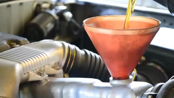 Rellenar aceite lubricante en el coche del motor
 - Metraje, vídeo