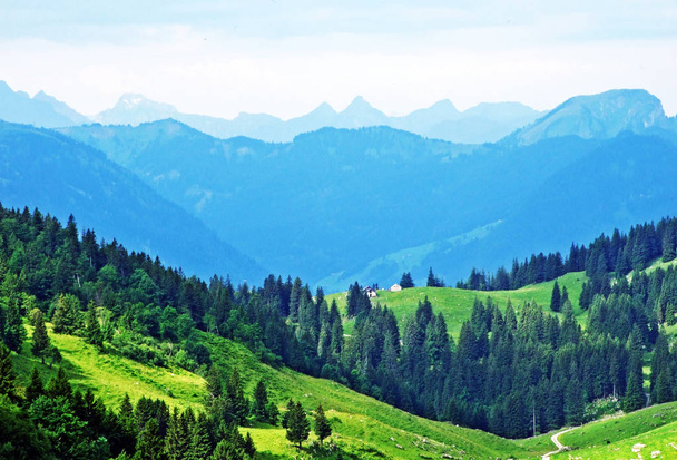Bomen en gemengde bossen van de hellingen van de Alpstein-gebergte en in de rivier Thur vallei - kanton St. Gallen, Zwitserland - Foto, afbeelding