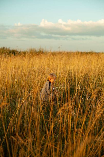 Niño, fotografiado en el campo, entre las espiguillas amarillas
 - Foto, imagen