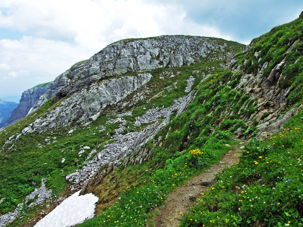 Kamienie i skały masywu górskiego Alpstein - kantony St. Gallen i Appenzell Innerrhoden, Szwajcaria - Zdjęcie, obraz