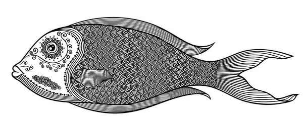 Vector illustration of isolated, stylized doodle fish in black color on white background. Anti-stress coloring for adult. - Vector, Image