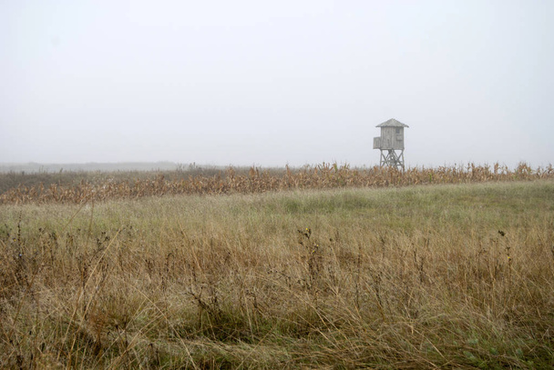 Őrtorony a ködben 3 - Fotó, kép