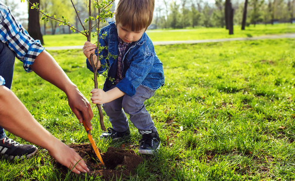 Vader met kind hand in hand. kleine jongen helpt zijn vader aan de plant de boom tijdens het werken samen in de tuin. zondag. lachend gezicht. lentetijd. vrijwilliger met stronk voor de teelt van  - Foto, afbeelding