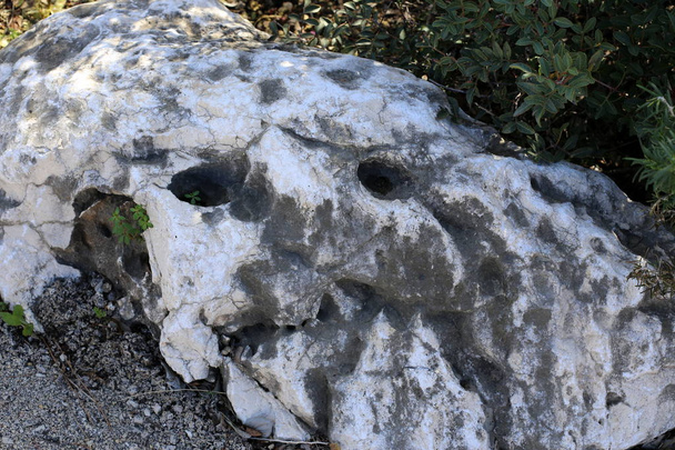 Steine liegen im alten Stadtpark in Nordisrael  - Foto, Bild