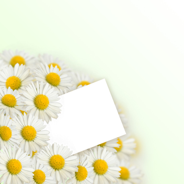 Bouquet of daisies and a letter - Φωτογραφία, εικόνα