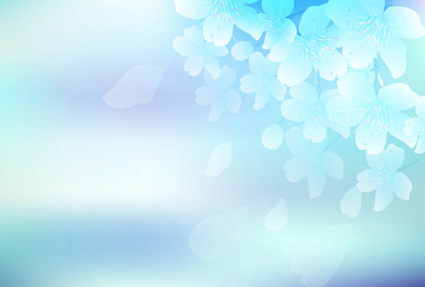 Цветок сакуры весенний цветочный фон - Вектор,изображение