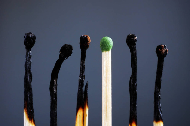 Line of burnt matches and one brand new. Individuality, leadership, burnout at work and energy. - Fotoğraf, Görsel