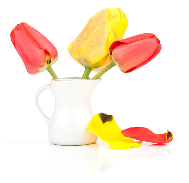 Tulips - Fotografie, Obrázek