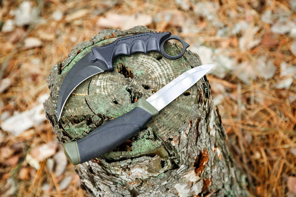 karambit μαχαίρι και κυνήγι μαχαίρι για το κούτσουρο σε φθινοπωρινό δάσος - Φωτογραφία, εικόνα