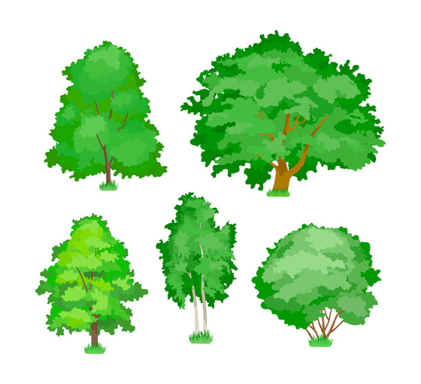 Roztomilý woody rostliny, zelená, žlutá, aspen, javor, dub, bříza stromy. - Vektor, obrázek