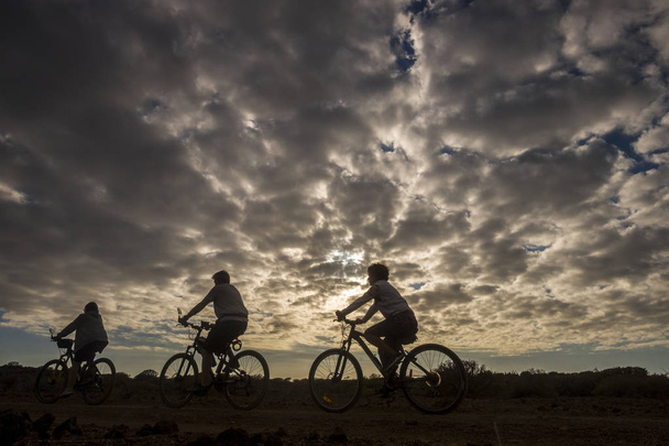 Grupa ludzi, jazda rowerem górskim podczas piękny ciemny zachmurzony zachód słońca  - Zdjęcie, obraz