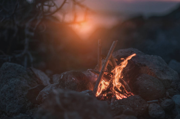 Inviting campfire on the beach during the summer - Photo, Image