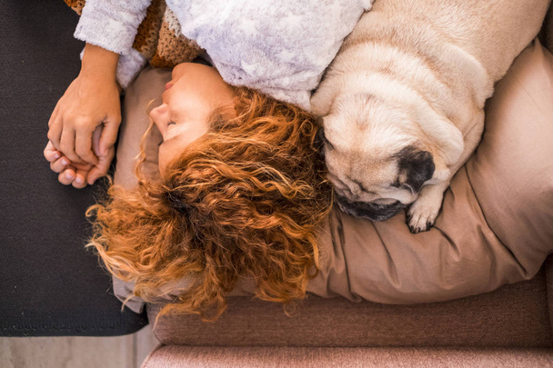 nainen nukkuu lähellä hänen ihana pentu koira mopsi
 - Valokuva, kuva
