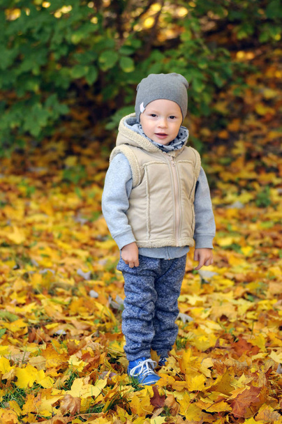 Dos años niño de pie sobre la caída de hojas de otoño
 - Foto, Imagen