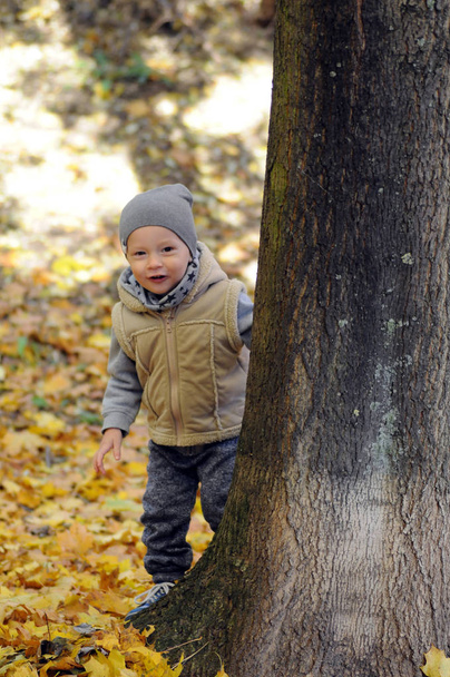 Two years old boy looks out behind a tree - Foto, immagini