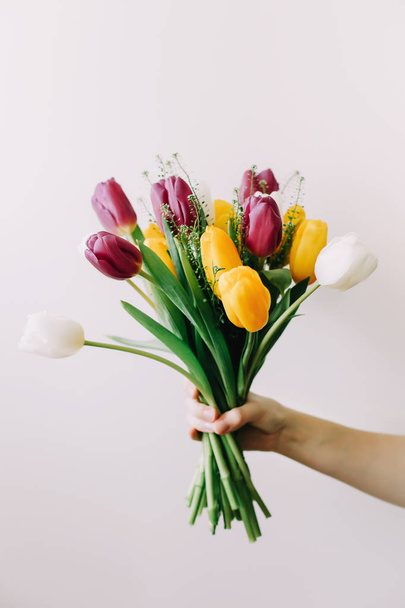  Bouquet of bright tulips in a female hand on a white background - Foto, immagini