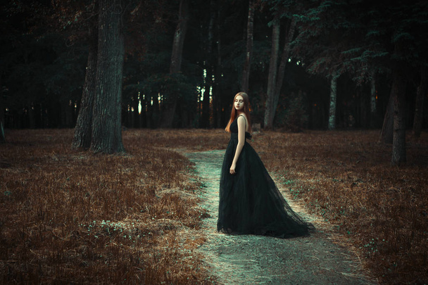 Young girl is posing wearing black dress in a dark forest - Фото, изображение