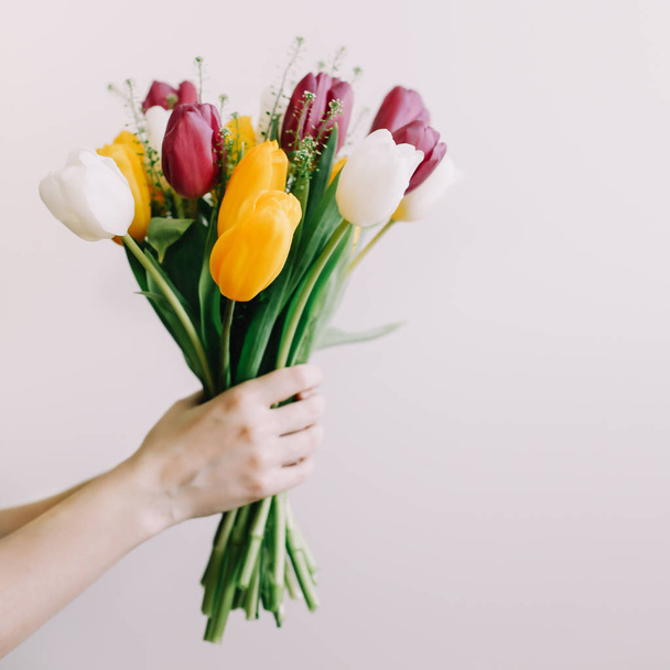 Tulips in the hands of a woman close-up on a white wall background. Bouquet of bright tulips in a female hand on a white background - Photo, image