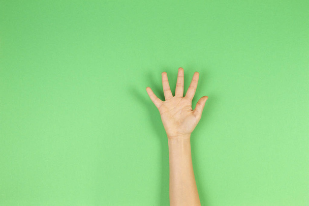 Kid hand palm or showing five fingers on green background - Foto, Imagem