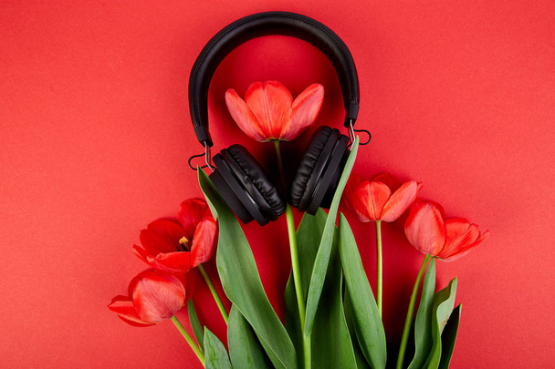 Black Headphones and red  bouquet tulips on red background. - Foto, immagini