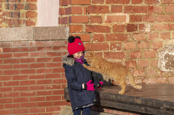 Kislány, simogatta, és átölelte a gyömbér színes macska téglafal, a háttérben - Fotó, kép