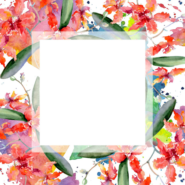 Zweig von Korallenorchideen. Blütenbotanische Blume. Aquarell Hintergrundillustration Set. Rahmen Rand Ornament Quadrat. - Foto, Bild