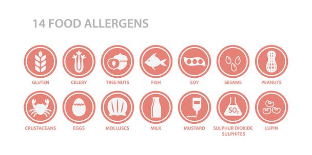 14 food allergens menu list circle icon set. Food allergen white icons in pink circles. Gluten, eggs, milk, nuts allergy vector icons. - Διάνυσμα, εικόνα