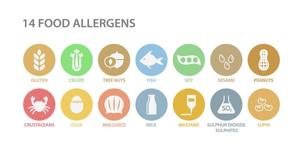 14 харчових алергенів меню списку набір піктограм кола. Харчові алергенні білі значки в колах. Глютен, яйця, молоко, алергія на горіхи Векторні іконки
. - Вектор, зображення