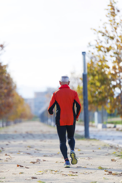 Rear view of a senior man in sport clothes jogging in the park in a sunny day - Foto, Imagen