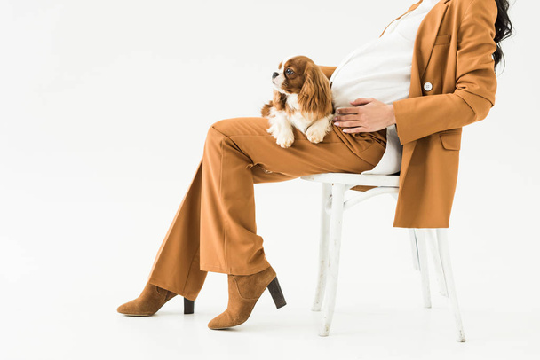 Partial view of pregnant woman in brown suit sitting on chair with dog on knees on white background - 写真・画像