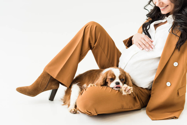 Vista recortada de la mujer embarazada riendo con perro tocando el vientre sobre fondo blanco
 - Foto, imagen