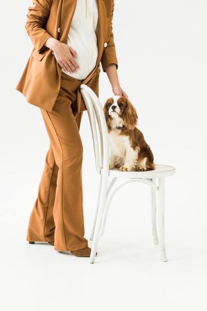 Cropped view of pregnant woman touching dog on white background - Foto, Imagem