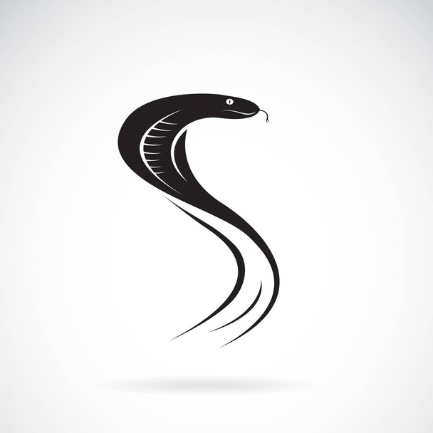 Vector of snake design on white background. Wild Animals. Snake  - Vector, Image