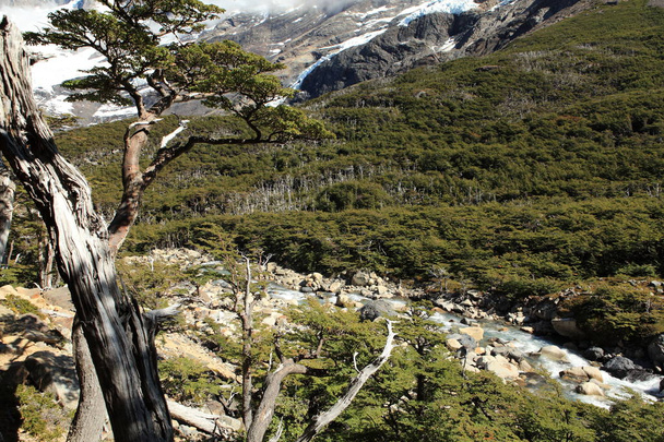 Patagonya peyzaj - Fotoğraf, Görsel
