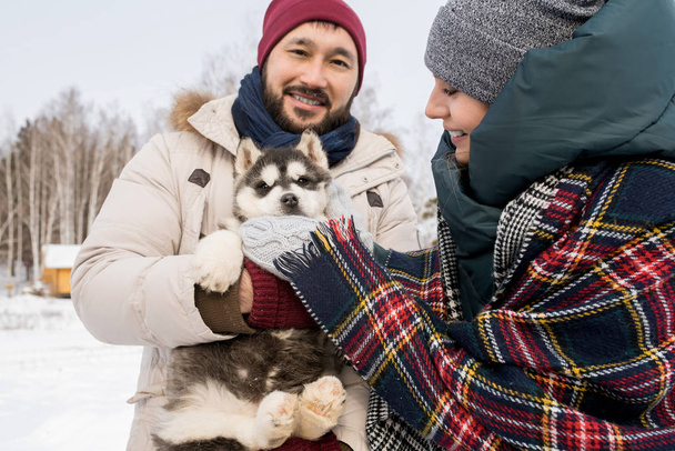 腰の屋外カメラで笑顔の男性に焦点を当てる、冬にかわいいハスキーの子犬が遊んで幸せなモダンなカップルの肖像画 - 写真・画像