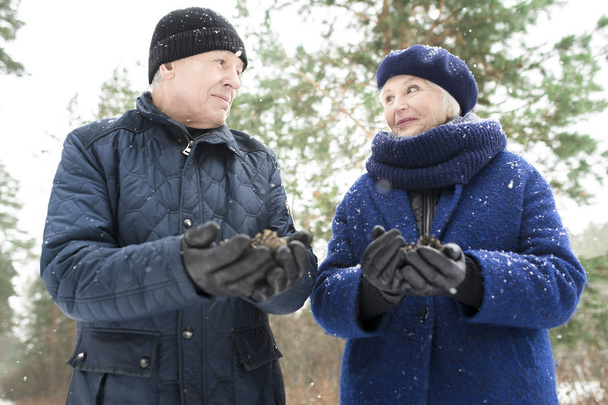 Portret szczęśliwej pary seniorów chodzenie w zimowym lesie i stwarzające dla fotografii garści szyszki sosny - Zdjęcie, obraz