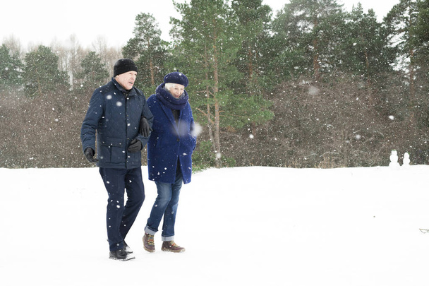 Portrait complet d'un couple de personnes âgées modernes marchant dans la forêt hivernale et bavardant sur le chemin avec la neige tombant doucement, espace de copie
 - Photo, image