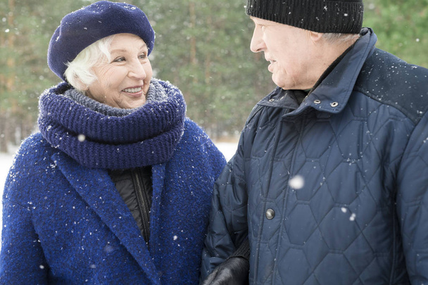 Cintura até retrato de casal sênior alegre andando na floresta de inverno e conversando alegremente com neve caindo suavemente
 - Foto, Imagem