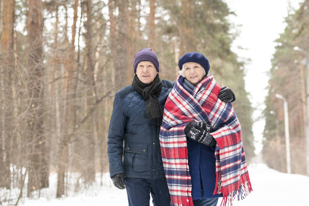 Waist up portrait of caring senior man hugging wife while enjoying walk in winter forest, copy space - Photo, Image