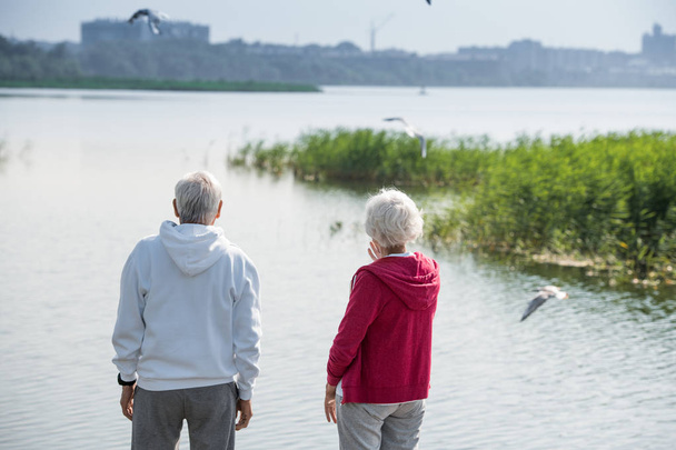 Rear view portrait of active senior couple standing by lake watching birds together during walk, copy space - Photo, Image