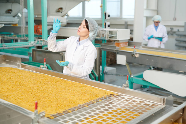 Portret młodej kobiety pracujący w nowoczesnej fabryce żywności i kontrolujający makarony na linii produkcyjnej, przestrzeń kopiowania - Zdjęcie, obraz