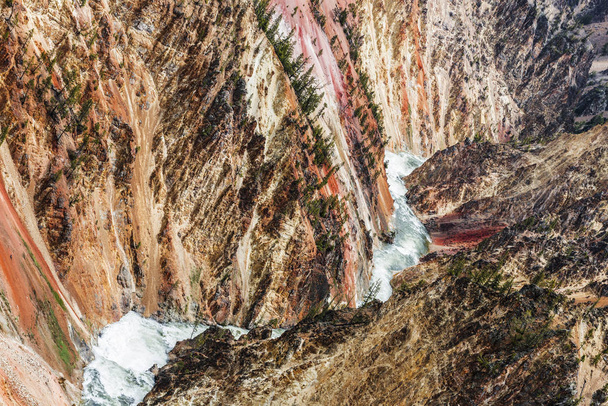 Grand Canyon of the Yellowstone - 写真・画像