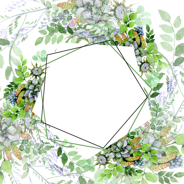 Buquê suculento flores botânicas florais. Conjunto de ilustração de fundo aquarela. Quadro borda ornamento quadrado
. - Foto, Imagem