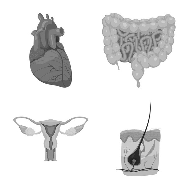 Isolated object of body and human logo. Collection of body and medical vector icon for stock. - Vettoriali, immagini