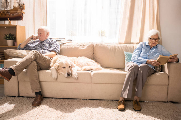 Retrato de larga duración de pareja mayor moderna sentada en lados opuestos del sofá con perro recuperador de mascotas, espacio para copiar
 - Foto, imagen