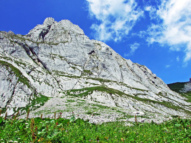 Колючі альпійських вершин Fhlentrm в Alpstein гірського хребта - кантону Аппенцелль Innerrhoden, Швейцарія - Фото, зображення